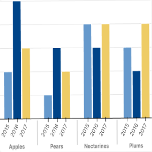 Thumbnail link to the examples/basic/bars/nested_colormapped.py example shows a grouped bar chart on a hierachical categorical axis of years for different categories of fruit. Each group has a silver, blue, and red bar corresponding to random values for years 2015, 2016 and 2017.