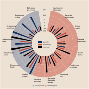 Thumbnail link to the examples/topics/pie/burtin.py example shows a reproduction of Burtin's hitorical antibiotics plot.